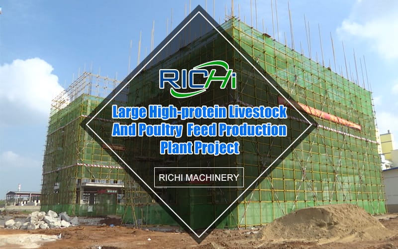 Gran proyecto automático de planta de alimentación de ganado y aves de corral con alto contenido de proteínas de 2*80T/H entra en la etapa de construcción de la estructura principal